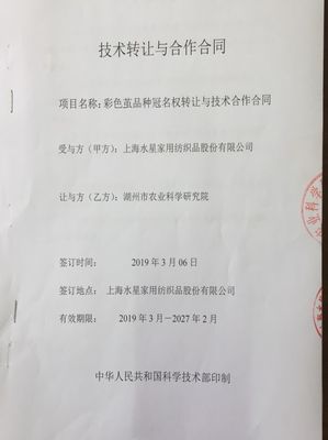 市農科院育種再獲新突破，多個新品種通過審定！技術轉讓開啟合作新篇章